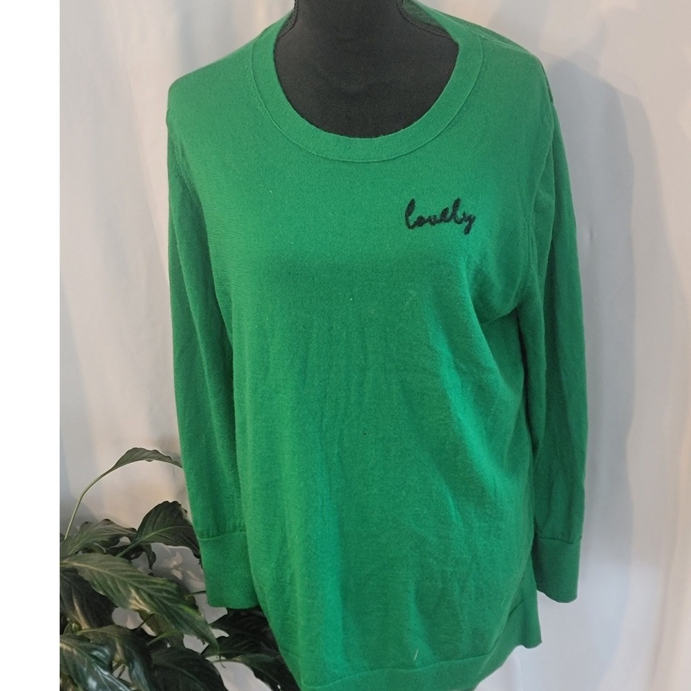 Banana Republic Green Extra Fine Merino Wool Lovely Embroidered Sweater XL